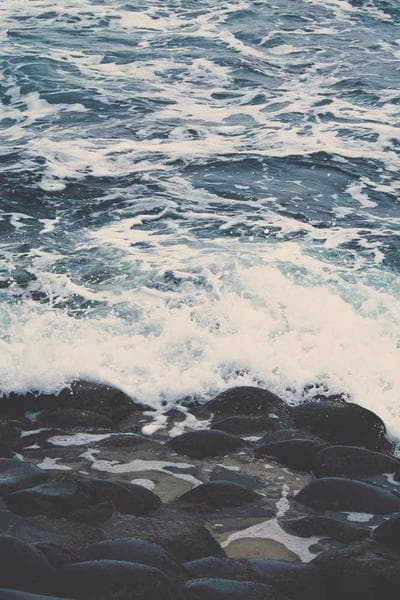 The Midnight Library